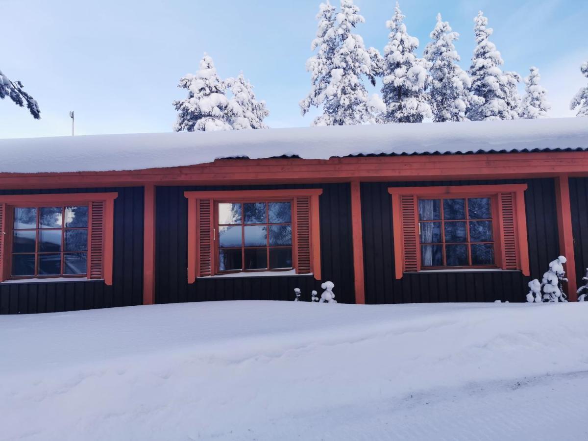Saariselkae Inn Majatalo Panimo Luaran gambar